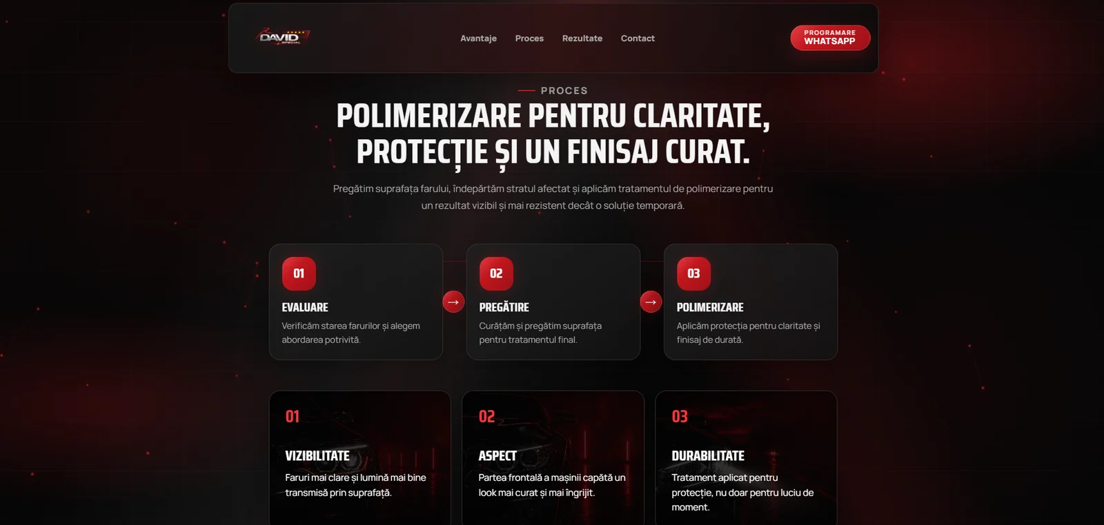David Special — prezentarea serviciului de polimerizare